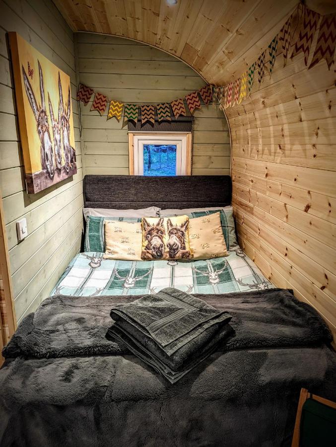 Emlyn'S Coppice - Luxury Woodland Glamping Vila Holywell  Exterior foto