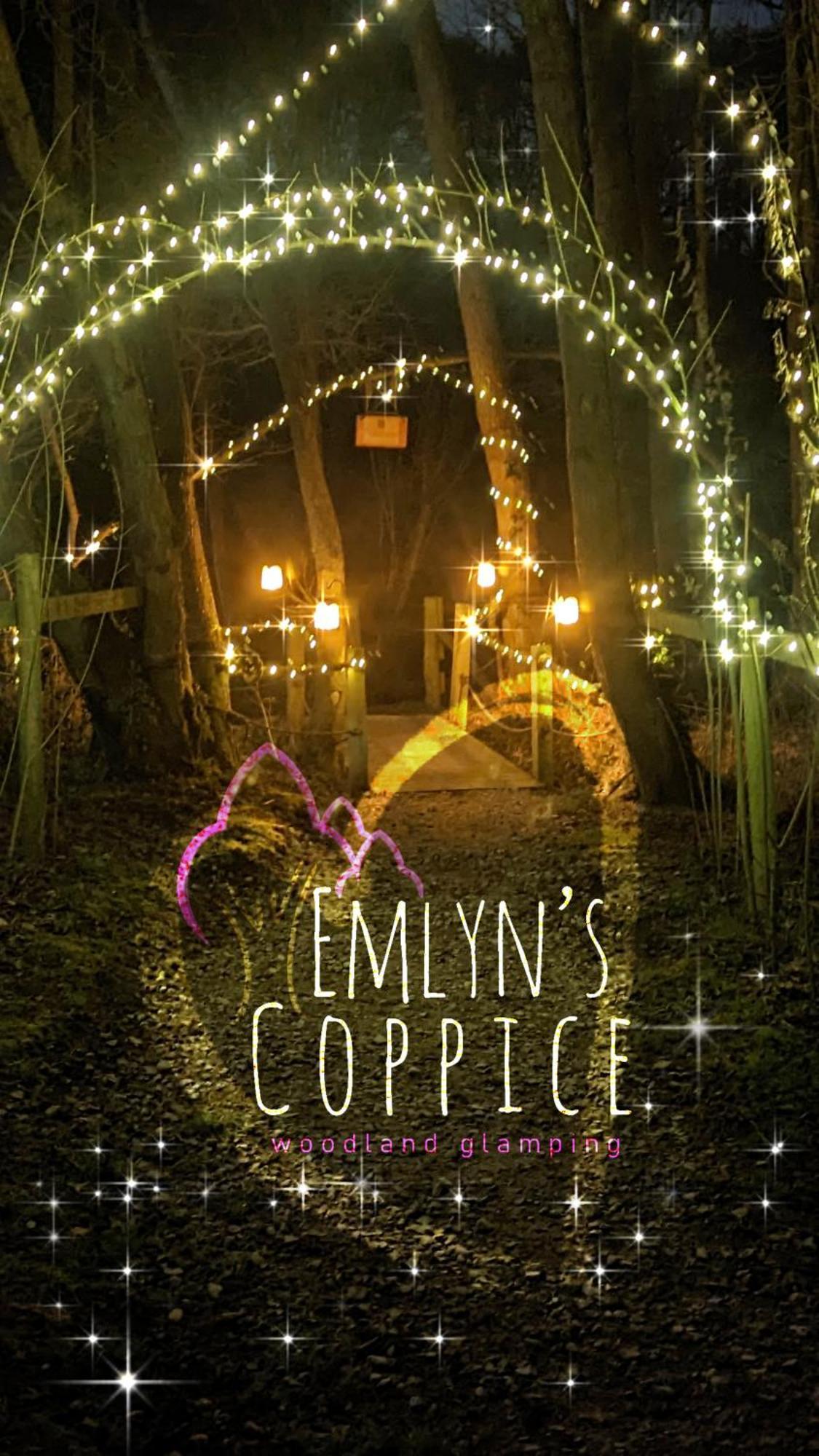 Emlyn'S Coppice - Luxury Woodland Glamping Vila Holywell  Exterior foto